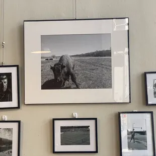 Portraits inside the entrance