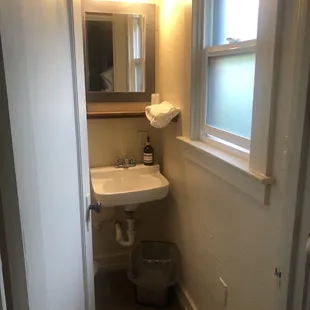 Bathroom ( toilet and shower behind door) only room for one person at a time