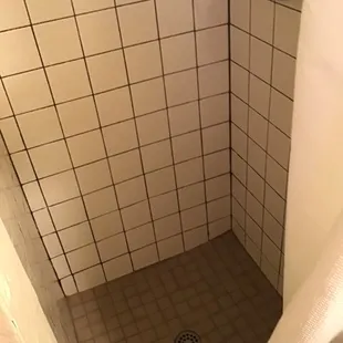 Shower in suite 5.