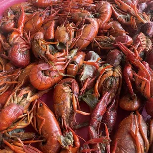 Boiled Crawfish