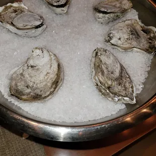 Steamed oysters