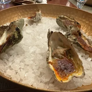 oysters, mussels, oysters and mussels, shellfish, food