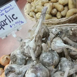 Mushroom &amp; Garlic Paradise