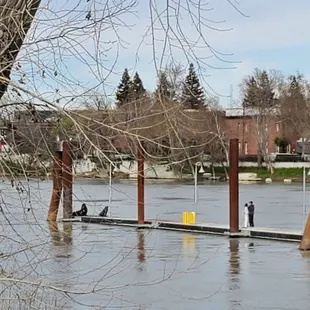 Dock (sea lions at the end)