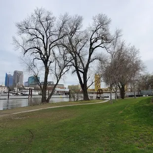 Park
