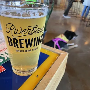 Beer on the banks of the Neosho! (dog optional)
