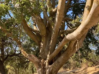 Brooks Road Trailhead