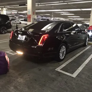 My chariot for an hour!