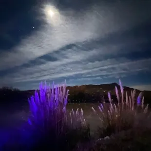 View from one of the stone tubs alone the Rio Grande