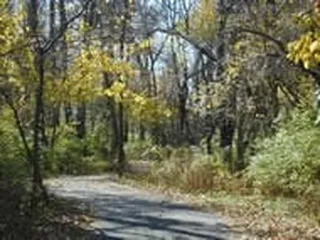 Turkey Creek Streamway Park