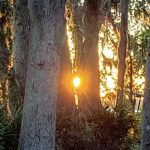 Enjoy beautiful sunsets