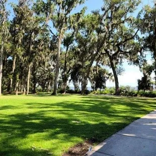 The Green - for playing games, gathering, picnicking, etc.