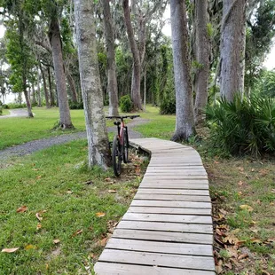 Novice Bike Trail