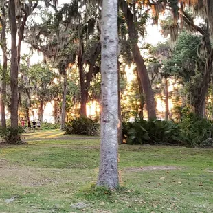 Although short, this is a nice walking trail