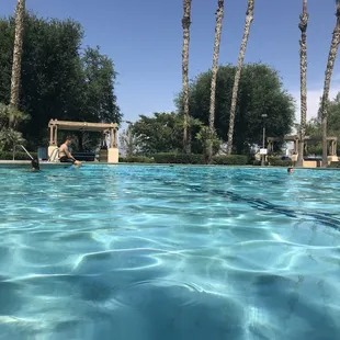 The pool