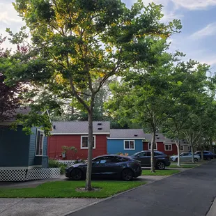 Outside of bungalows