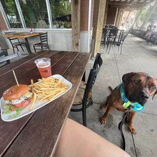 Lunch with the best pup