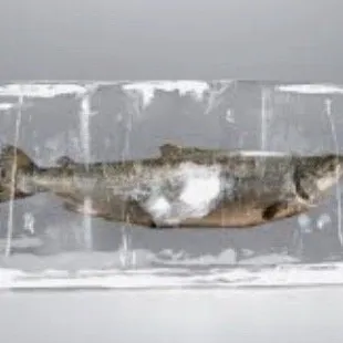 Fresh from the freezer!