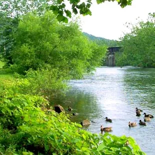 River's Edge - view upstream