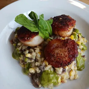 Scallop risotto