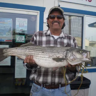 13.5 lb. Striper!