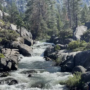 Run off from Cleo's bath