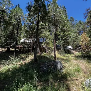 View from river towards cabin 3