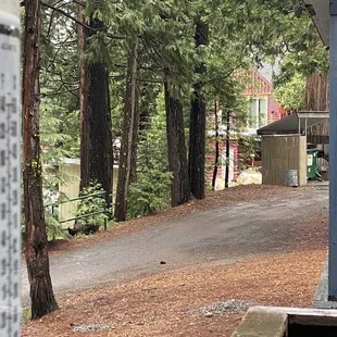 View looking towards the market from Cabin 8 deck.