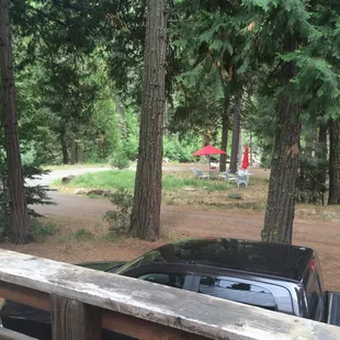 The view from Cabin 8 to the river