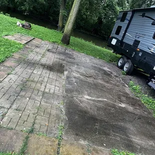 The may flies ??? And out of control weeds