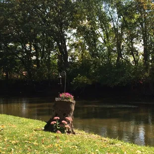 Sitting out by the Elk River, very nice!