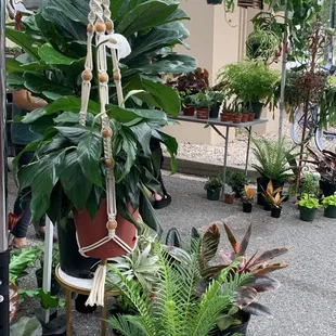 perfect for a plant mom!