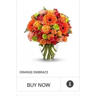 Original picture on website