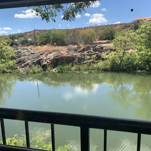 Looking out the window