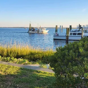 View from patio