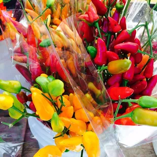 Bouquets of peppers, awesome!!