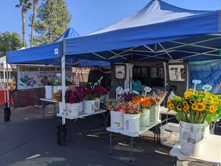 The Galleria At Tyler Farmers Market