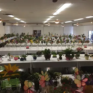 Riverside Community Flower Show 2017