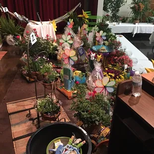 Riverside Community Flower Show 2017