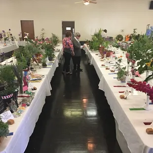 Riverside Community Flower Show 2017