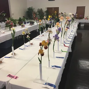 Riverside Community Flower Show 2017