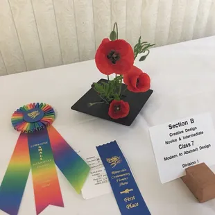 Riverside Community Flower Show 2017