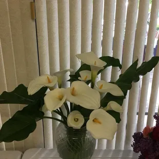 Riverside Community Flower Show 2017