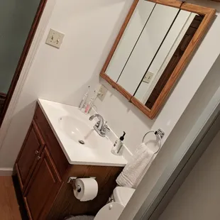 bathroom with toilet, sink and mirror