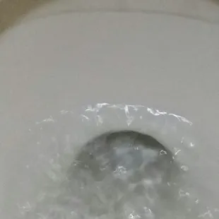 Nasty black ring in toilet bowl. Again a little cleaner and brushing would solve issue.