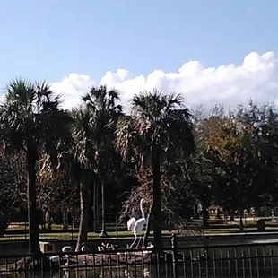 Feed bread to the ducks at the duck pond.