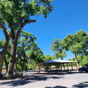 Wide angle lens makes things look tilted. They were actually upright.