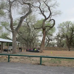 I think it was dads + kids taking lessons