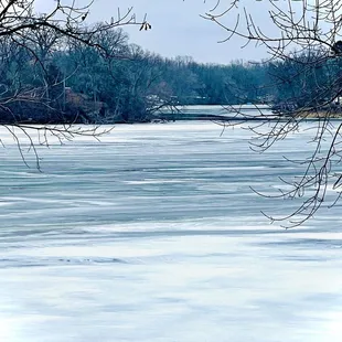 Our view from the cabin