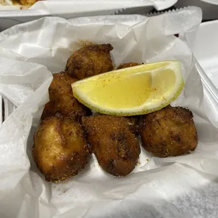Conch fritters